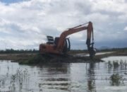 Diduga Bekingi Aktivitas Eskavator di Cagar Alam, Seorang Wartawan Terancam Dilaporkan ke Polda