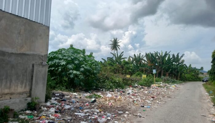 Tumpukan Sampah Dijalan Sawit Menumpuk Tanpa Solusi, Warga Gerah Bau Menyengat