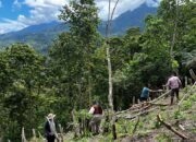 Mengembalikan Denyut Gotong Royong di Tulabolo: Menanam Kacang, Menanam Masa Depan