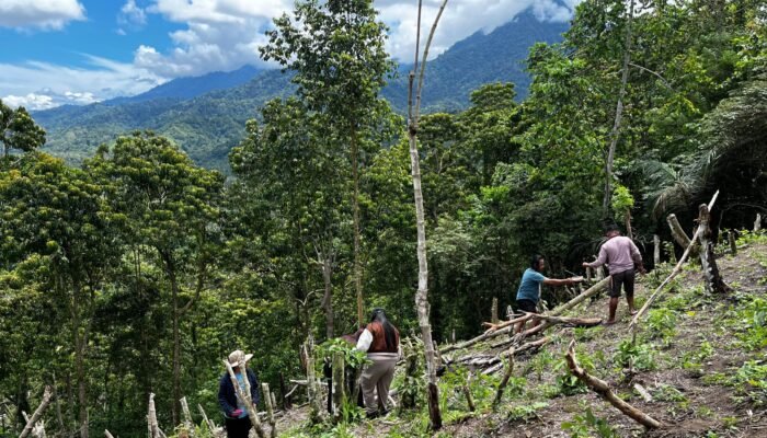 Mengembalikan Denyut Gotong Royong di Tulabolo: Menanam Kacang, Menanam Masa Depan