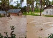 Akibat Tambang Emas Tanpa Izin, Banjir Hantam Desa Teratai Pohuwato