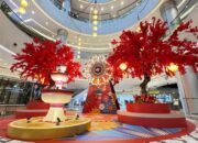 Blossom Symphony: Perayaan Imlek Penuh Harmoni di Hublife