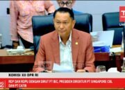 Proyek Dragon Grup MIND ID, DPR Yakin Indonesia Masuk Ekosistem Baterai Global