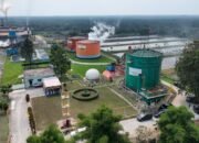 ROA PalmCo Tembus 7,9 Persen, Sinyal Penguatan Kinerja Aset Holding Perkebunan Nusantara